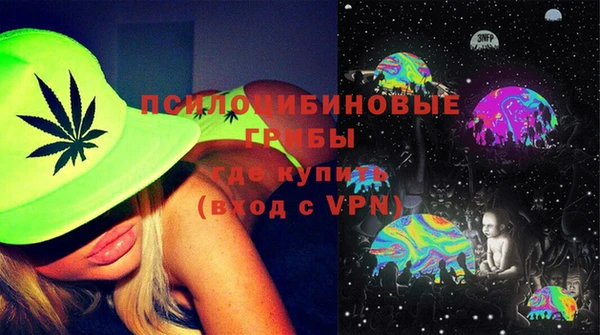 ECSTASY Богданович