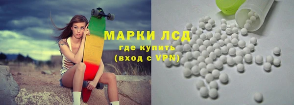 ECSTASY Богданович