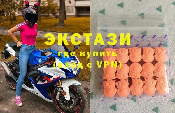 ECSTASY Богданович