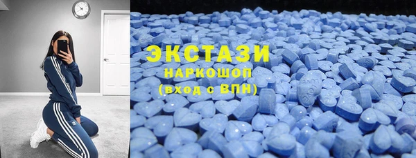 ECSTASY Богданович